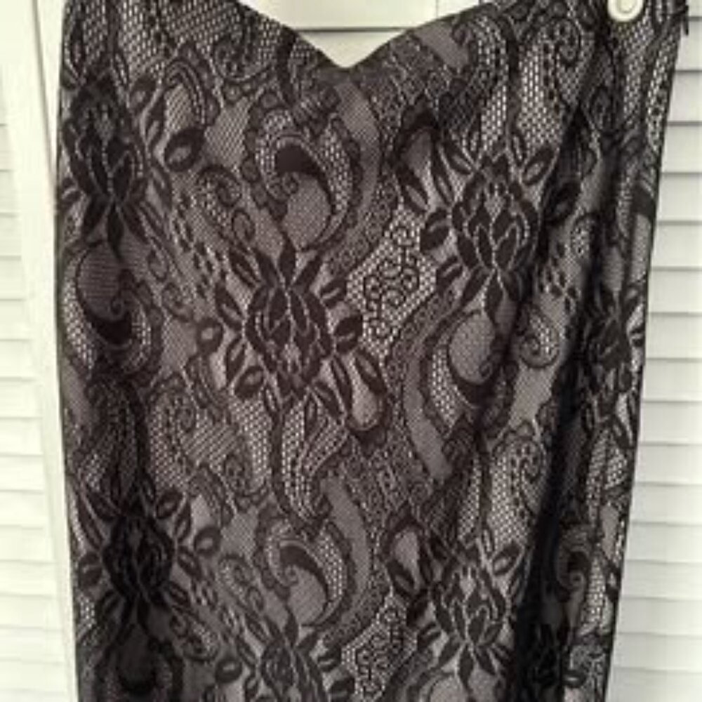 Women’s lace skirt size 6P Ann Taylor
